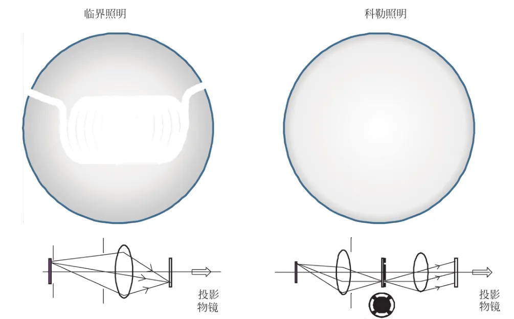 光學照明系統(tǒng)——科勒照明方式
